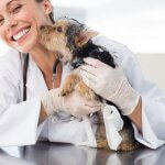 Cachorrinho beijando rosto de veterinária