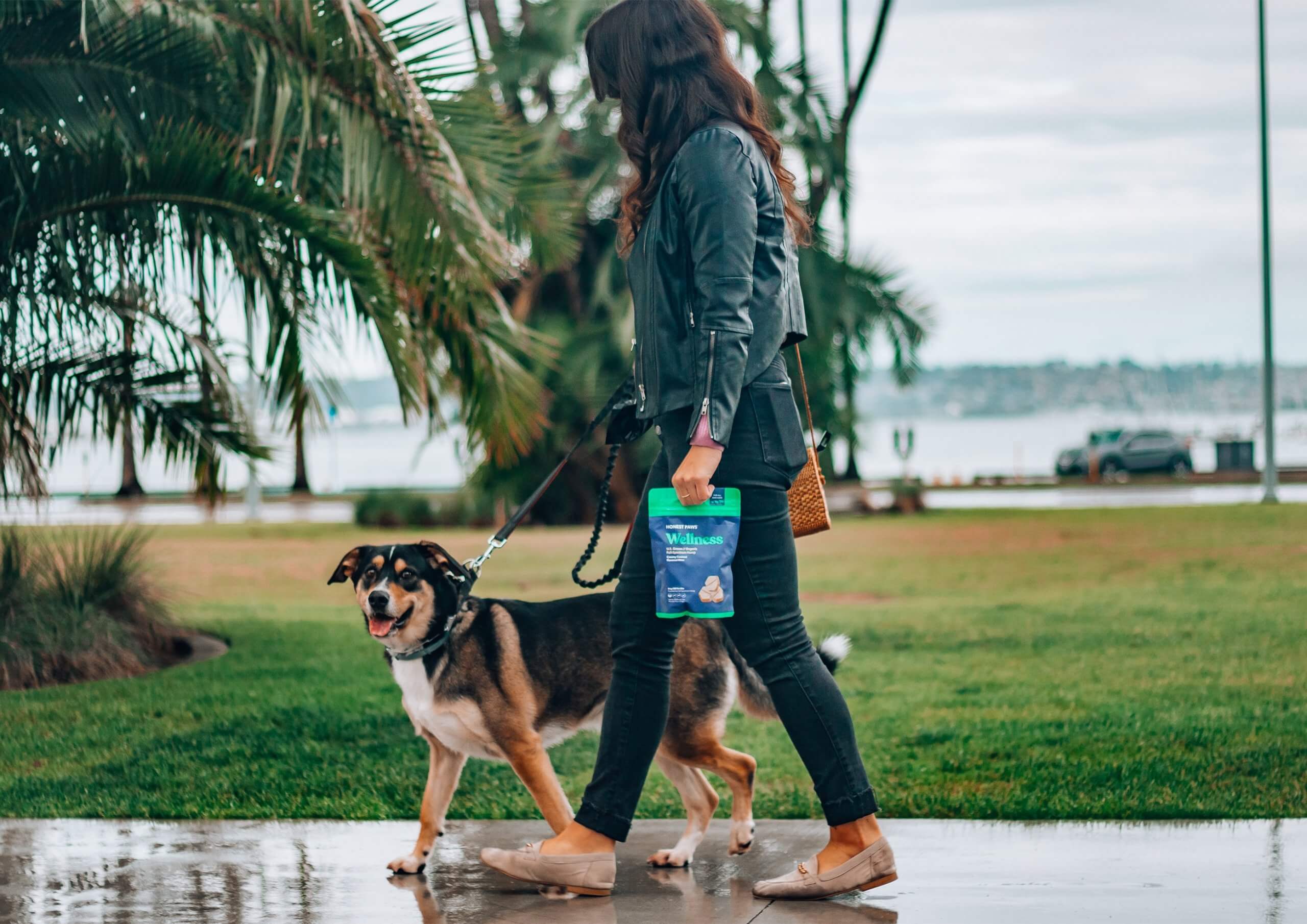 Mulher jovem passeando com cão de aparencia alegre